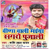 Vina Wali Maiya Hamar Sagaro Pujali Mp3 Song