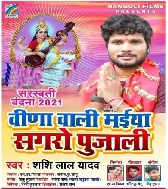 Vina Wali Maiya Hamar Sagaro Pujali Mp3 Song