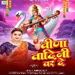 Veena Vadini War De (Anu Dubey)